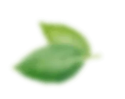 intro